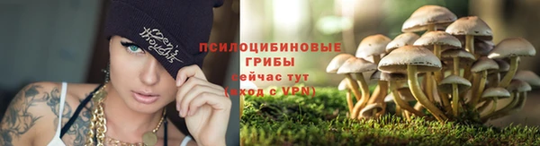 mdpv Мегион