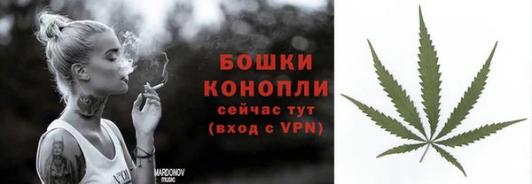 мдпв Медногорск