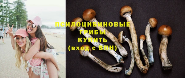 мдпв Медногорск