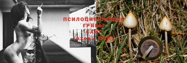 мдпв Медногорск
